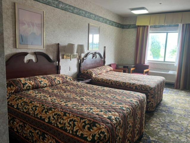 Garden Inn New Castle エクステリア 写真